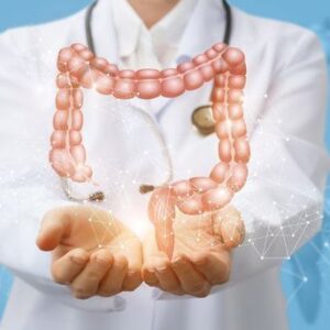 Canale energetico: Intestino crasso